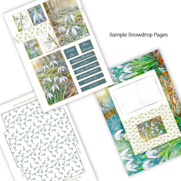 Spring Flowers : A Luxury Card Making Book