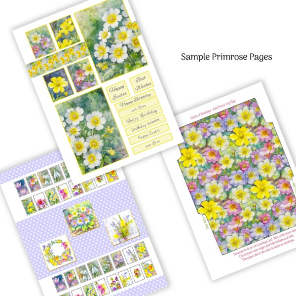 Spring Flowers : A Luxury Card Making Book