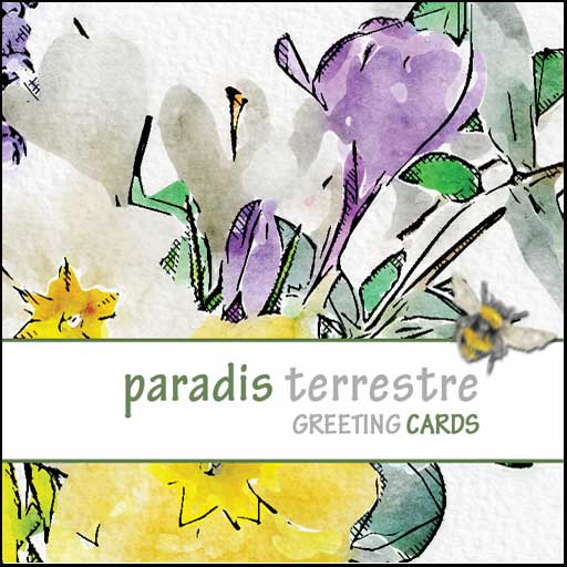 Paradis Terrestre Etsy Shop