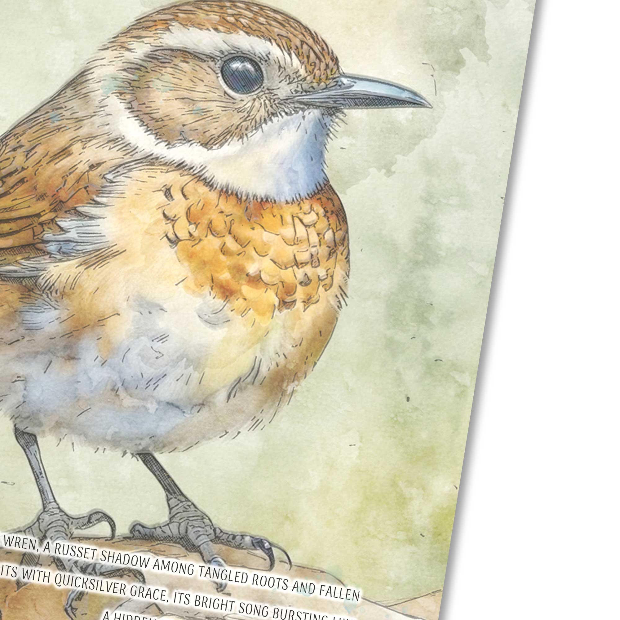 A Countryside Chorus : A Luxe Illustrated Notes and Ideas book