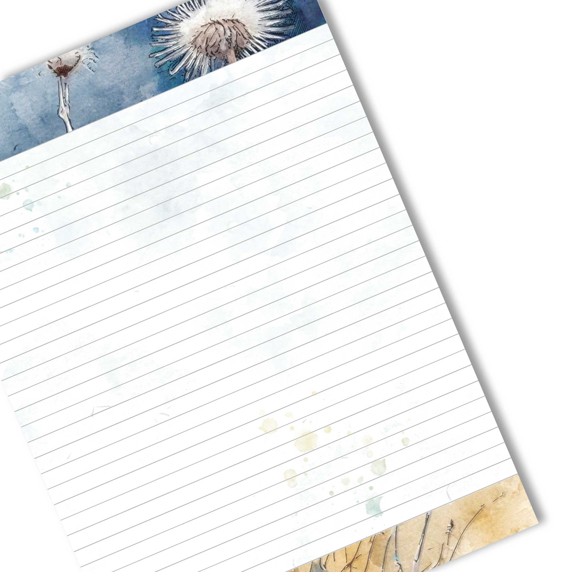 A Countryside Chorus : A Luxe Illustrated Notes and Ideas book