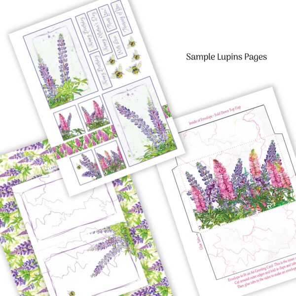 Summer Flowers : A Luxury Card Making Book : A Card Kit Book to cut and make your own Greeting Cards